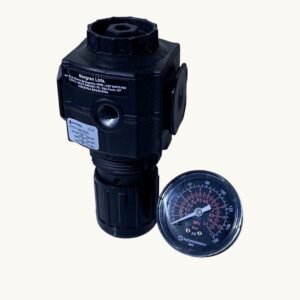Regulador de Pressão R73G-2AK-RMG Excelon 1/4 NPT NORGREN